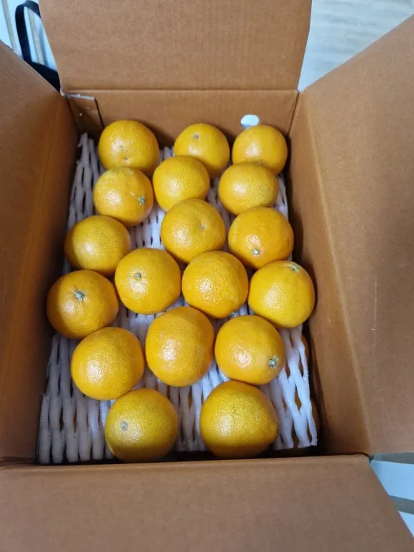 IMG_5033.JPG?type=w580