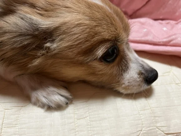 IMG_3564.jpg?type=w580