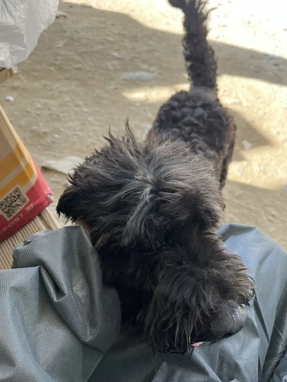 IMG_3348.jpg?type=w580