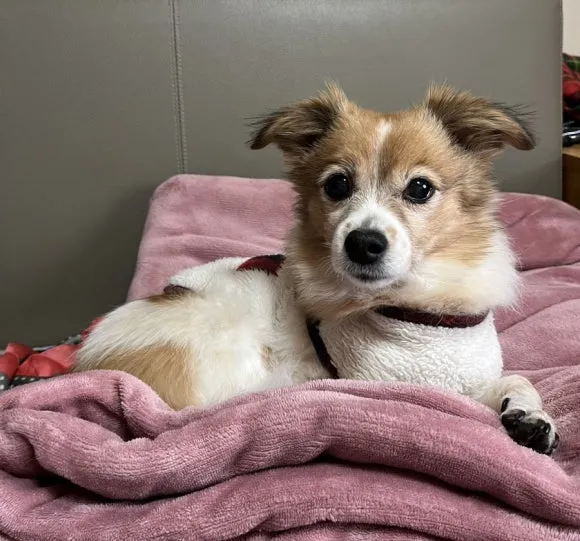 IMG_5918.jpg?type=w580