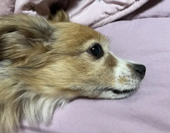 IMG_3536.jpg?type=w580