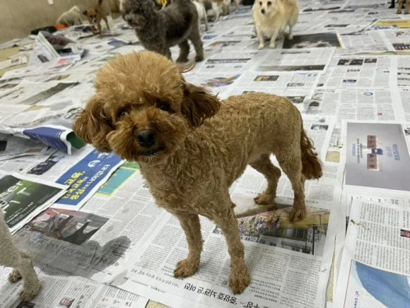 IMG_3377.jpg?type=w580