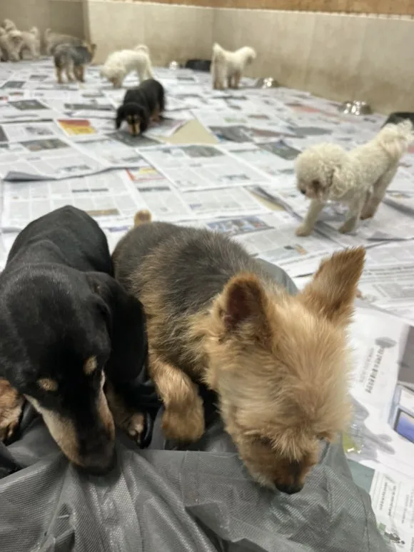 IMG_3382.jpg?type=w580