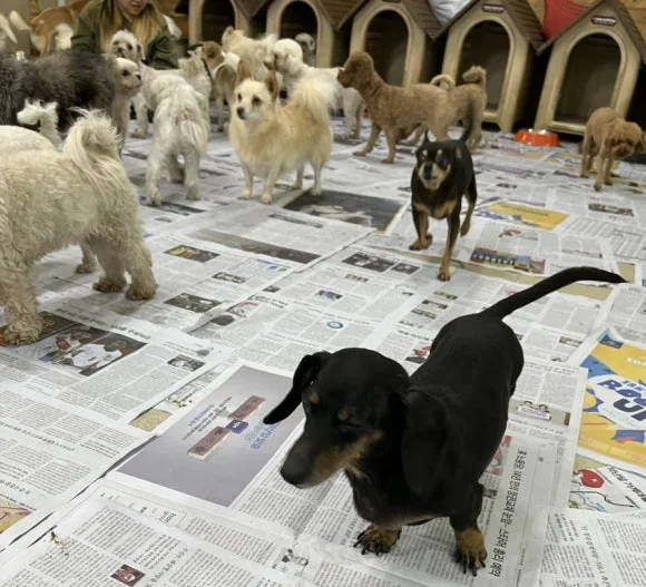 IMG_3376.jpg?type=w580