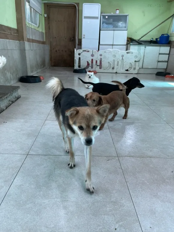 IMG_3404.jpg?type=w580