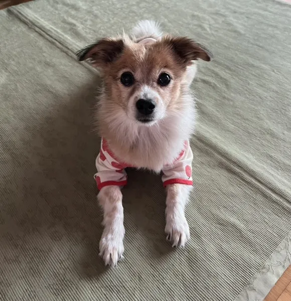 IMG_3547.jpg?type=w580