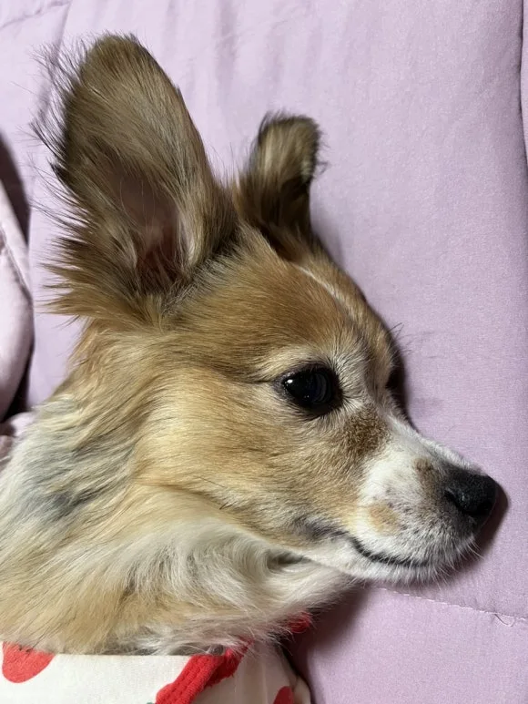 IMG_3535.jpg?type=w580