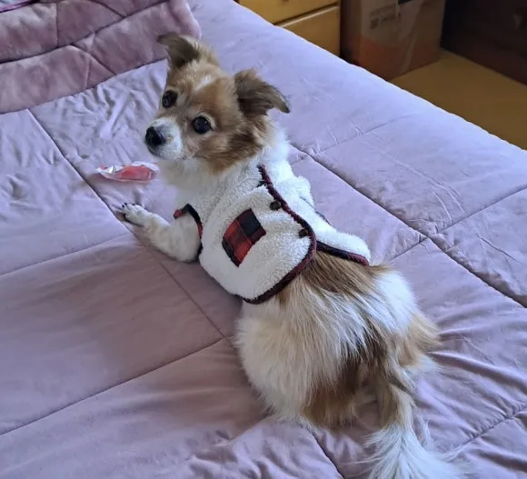 IMG_5899.JPG?type=w580