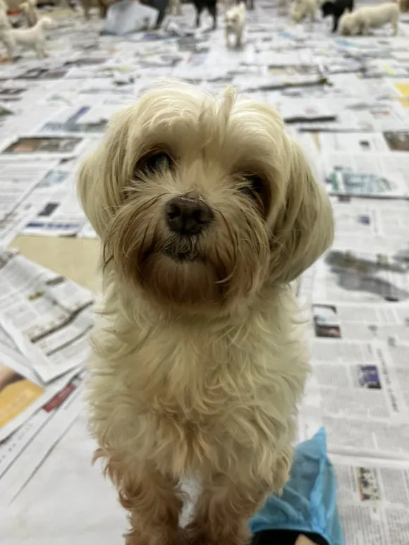 IMG_3354.jpg?type=w580