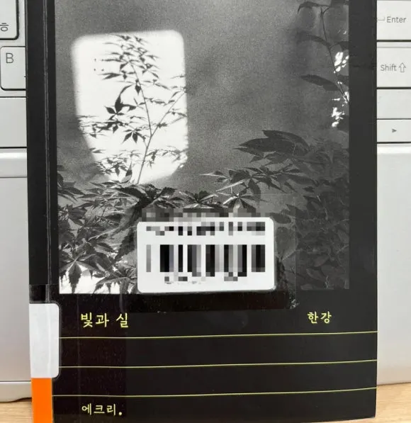 SE-6EBDF8C0-13C7-427A-9B52-912825130416.jpg?type=w580