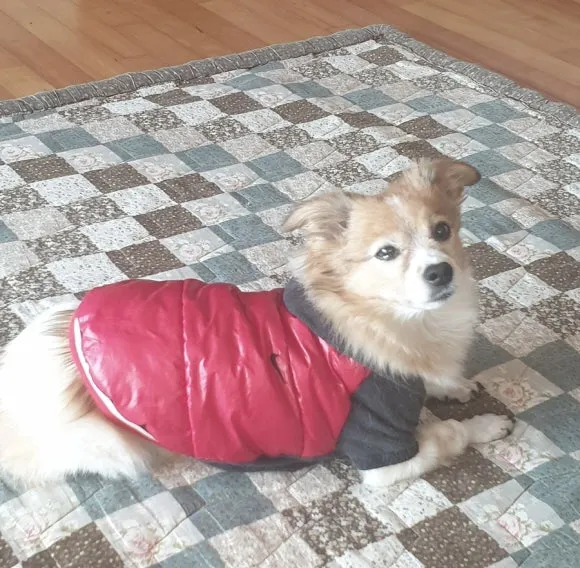 IMG_5895.JPG?type=w580