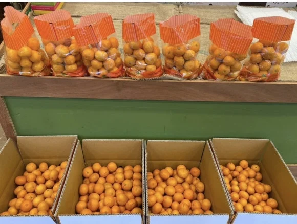 IMG_4946.jpg?type=w580