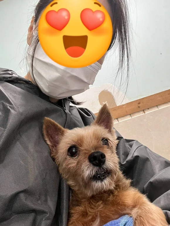 output_2794104999.jpg?type=w580