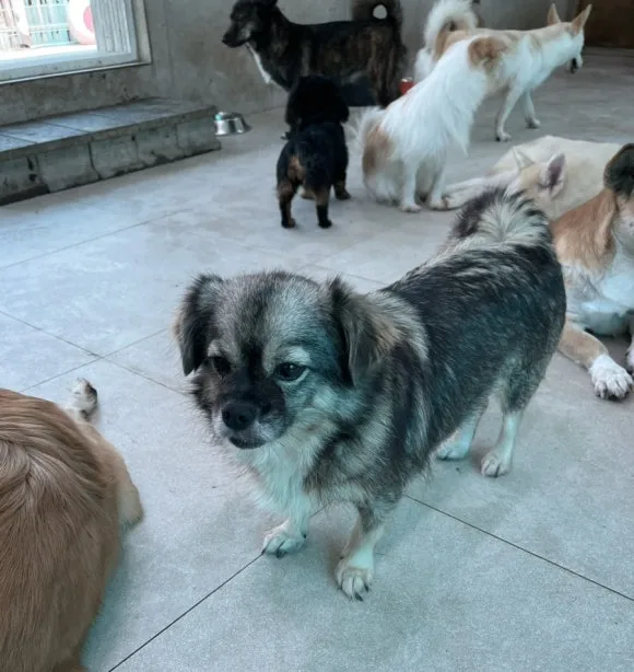 IMG_3418.jpg?type=w580