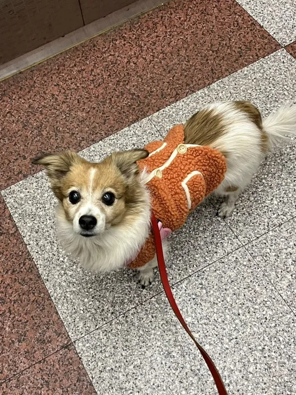 IMG_5949.jpg?type=w580