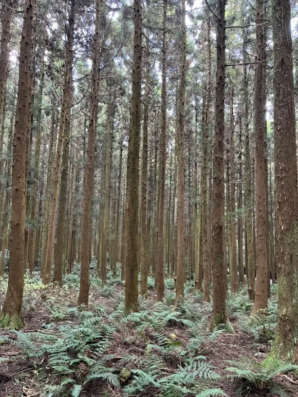 IMG_4668.jpg?type=w580