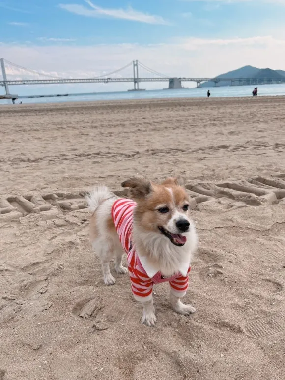 IMG_3668.JPG?type=w580