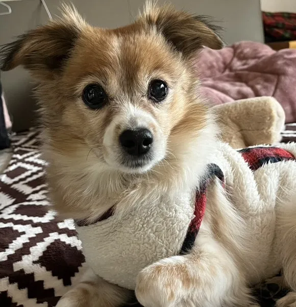 IMG_5940.jpg?type=w580