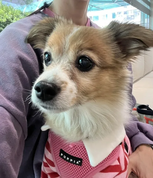 IMG_3592.jpg?type=w580