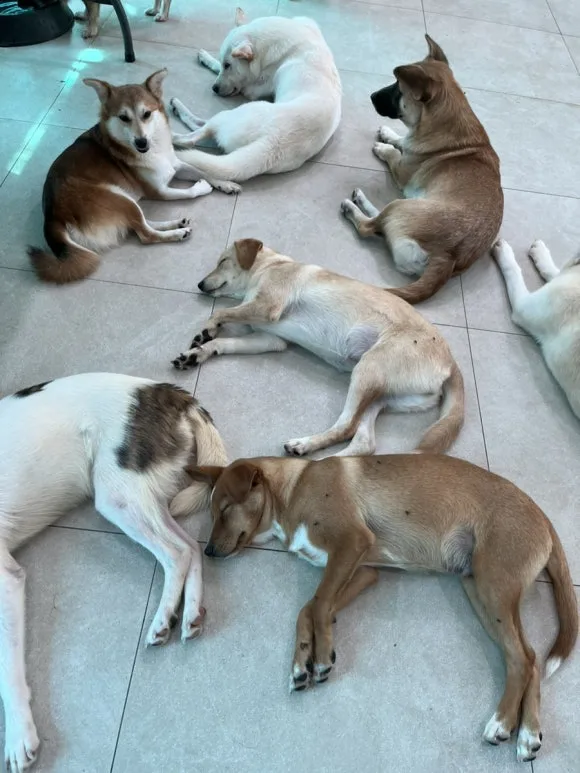 IMG_3415.jpg?type=w580