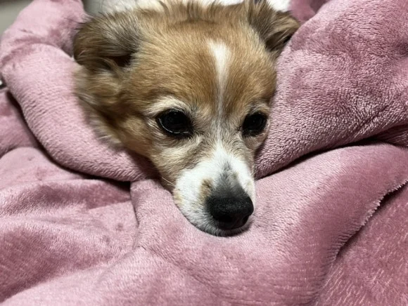 IMG_5913.jpg?type=w580