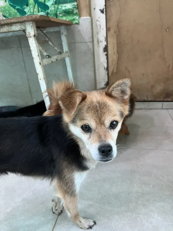 IMG_3414.jpg?type=w580