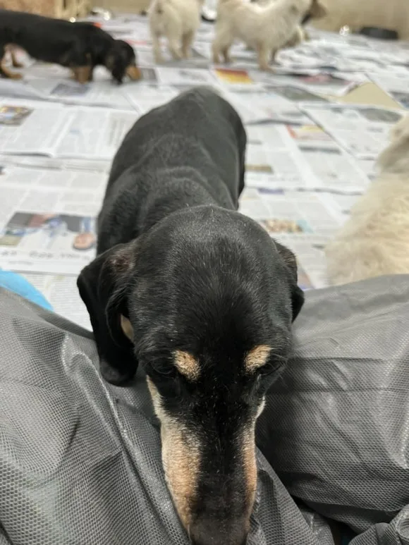 IMG_3380.jpg?type=w580