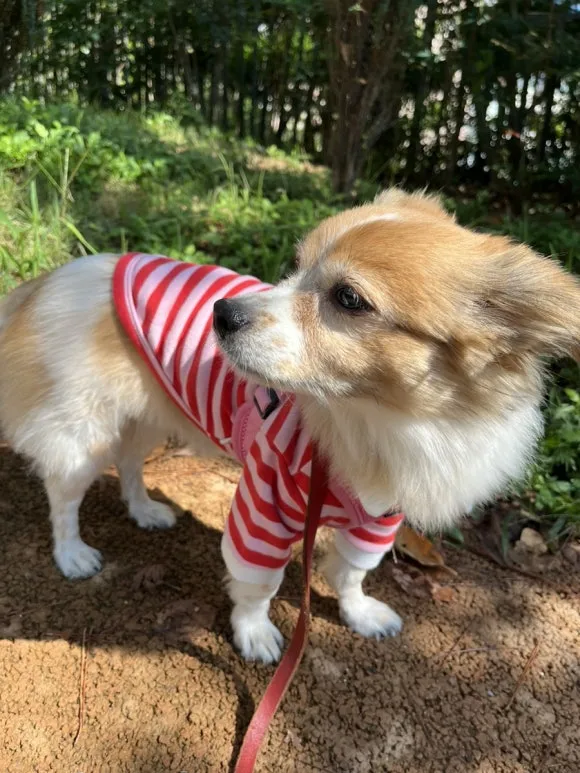 IMG_3576.jpg?type=w580