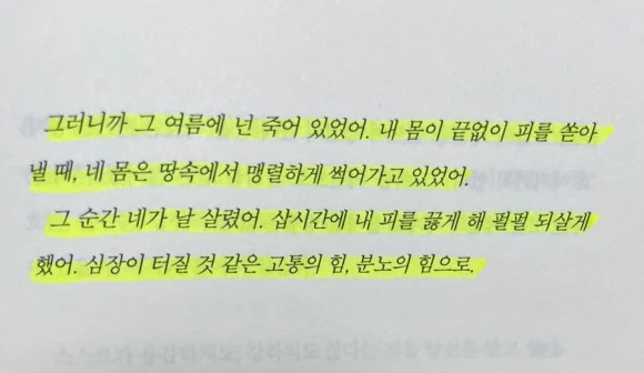 output_3911702616.jpg?type=w580