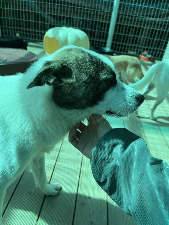 IMG_3397.jpg?type=w580