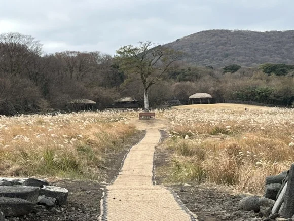 IMG_4711.jpg?type=w580