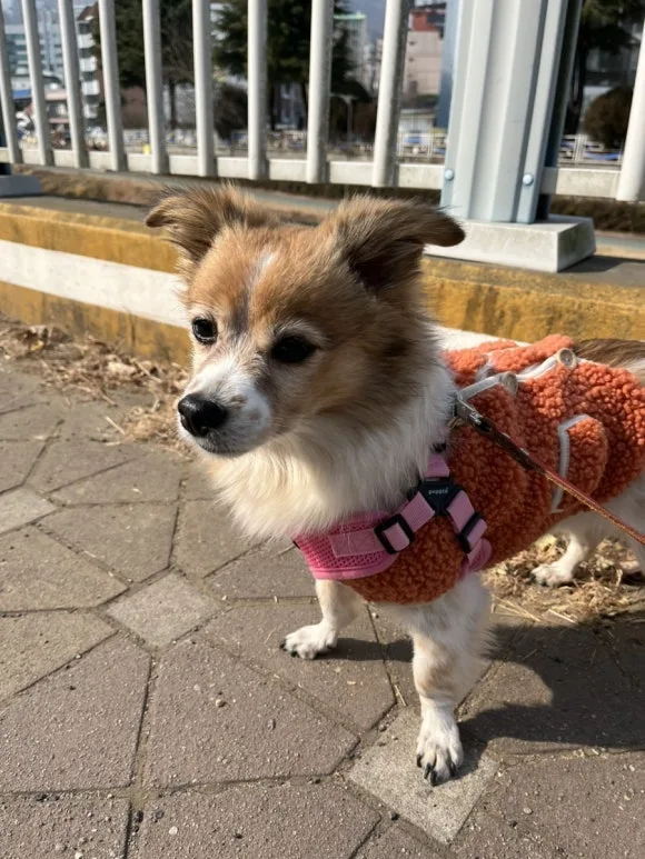 IMG_5943.jpg?type=w580