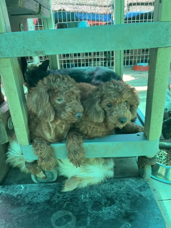 IMG_3391.jpg?type=w580