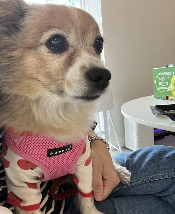 IMG_3523.jpg?type=w580