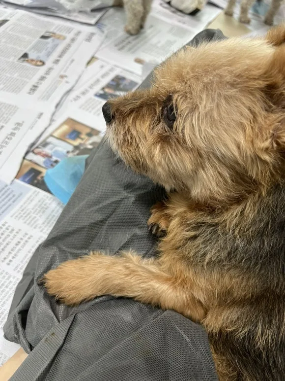 IMG_3387.jpg?type=w580