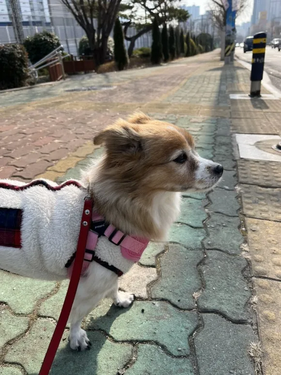 IMG_5923.jpg?type=w580