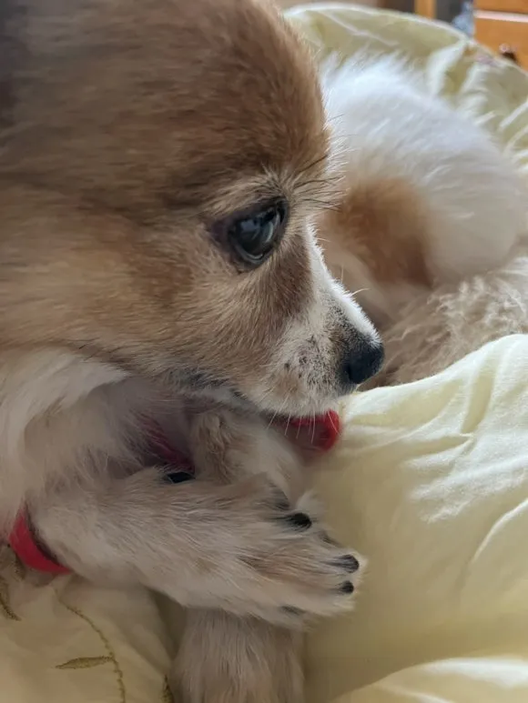 IMG_3543.jpg?type=w580