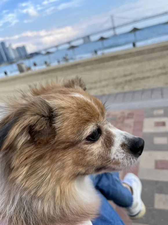 IMG_3649.jpg?type=w580