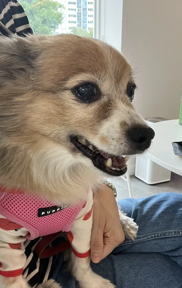 IMG_3526.jpg?type=w580