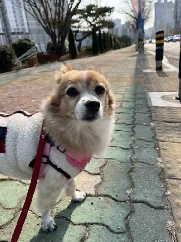 IMG_5921.jpg?type=w580