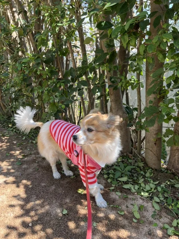 IMG_3581.jpg?type=w580