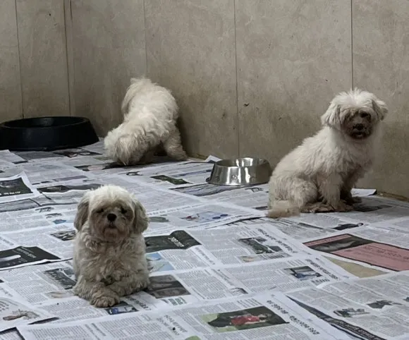 IMG_3388.jpg?type=w580