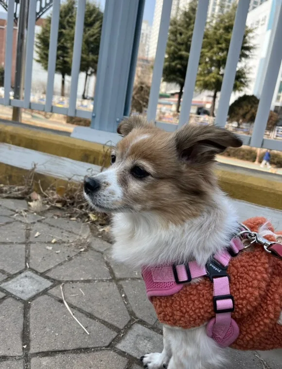 IMG_5947.jpg?type=w580