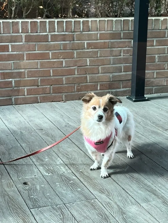 IMG_5925.jpg?type=w580