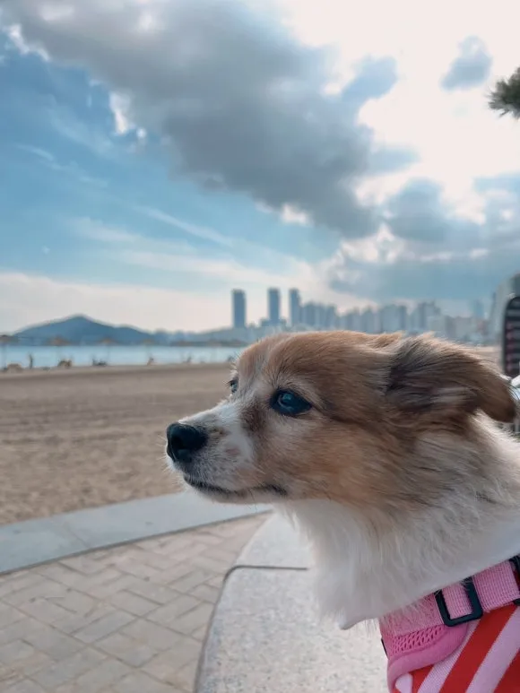 IMG_3667.JPG?type=w580