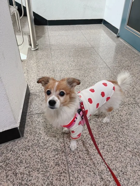 IMG_3546.JPG?type=w580