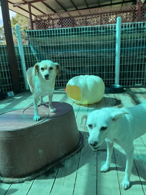 IMG_3395.jpg?type=w580