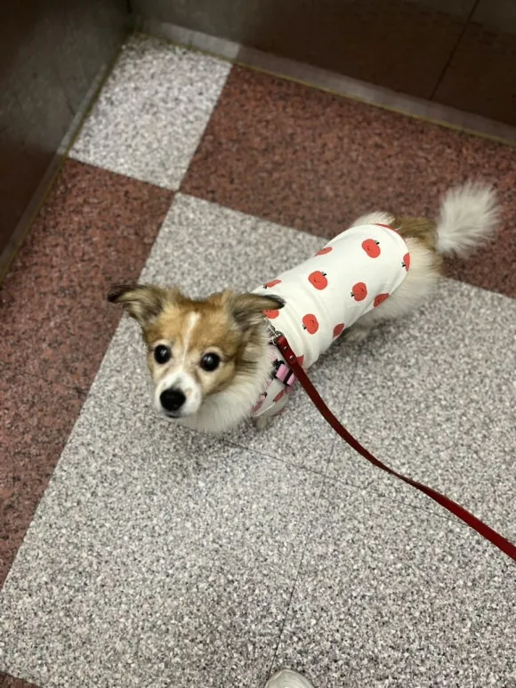 IMG_3512.jpg?type=w580