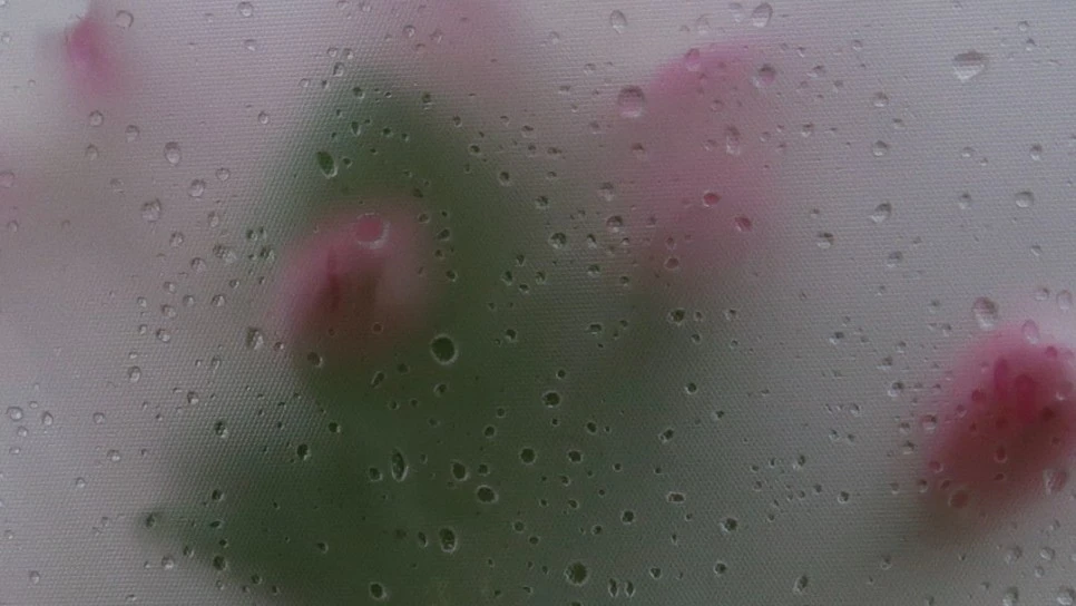 SE-5b512baa-88a2-49c7-b697-0da1f867453a.jpg?type=w966