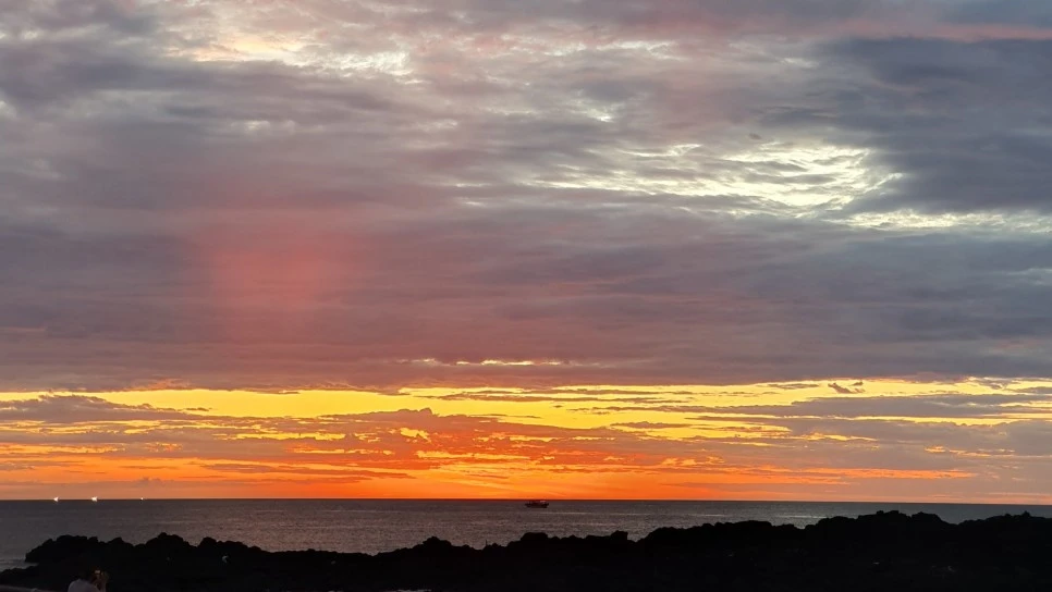 SE-5001adcf-7994-491b-b78e-9b0e59220fbe.jpg?type=w966